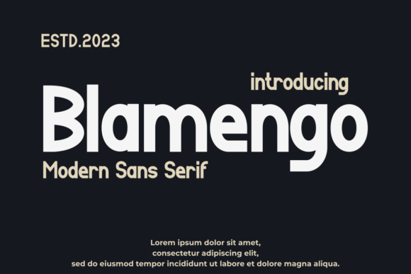 Blamengo Font Review: A Modern Sans Serif for Branding