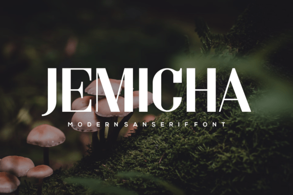 Jemicha Font: Elevating Small Business Brand Identity