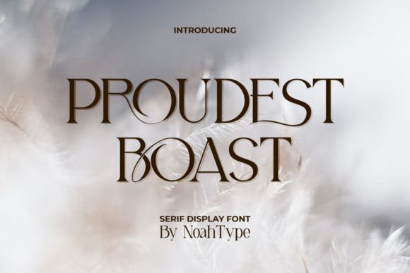 Proudest Boast Font: A Web Designer’s Layout Review